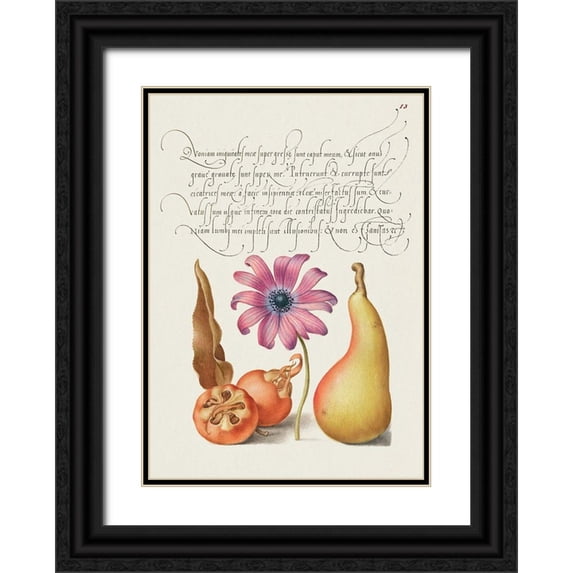 Hoefnagel, Bocskay 14x18 Black Ornate Wood Framed with Double Matting Museum Art Print Titled - From the Model Book of Calligraphy-VIII
