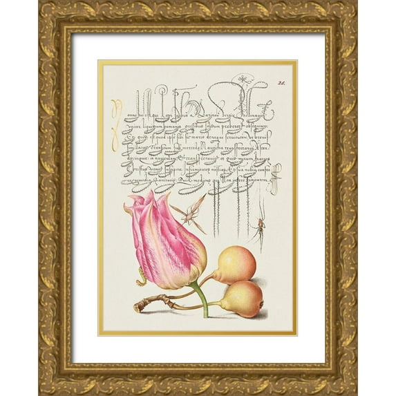 Hoefnagel, Bocskay 14x18 Gold Ornate Wood Framed with Double Matting Museum Art Print Titled - From the Model Book of Calligraphy-VII