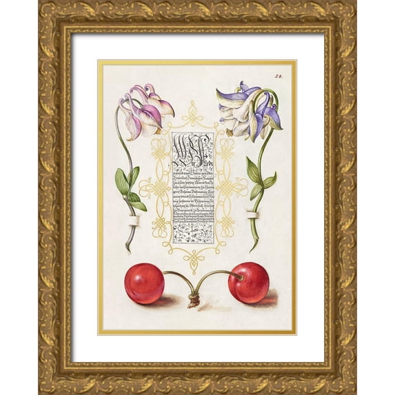 Hoefnagel, Bocskay 24x32 Gold Ornate Wood Framed with Double Matting Museum Art Print Titled - From the Model Book of Calligraphy-III