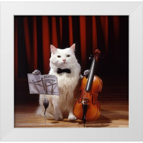 Hoenderkamp, Patrick 12x12 White Modern Wood Framed Museum Art Print Titled - Violin cat
