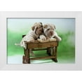 thumbnail image 1 of Hoenderkamp, Patrick 14x11 White Modern Wood Framed Museum Art Print Titled - University dogs, 1 of 4