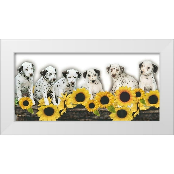 Hoenderkamp, Patrick 18x11 White Modern Wood Framed Museum Art Print Titled - Puppies and Sunflowers