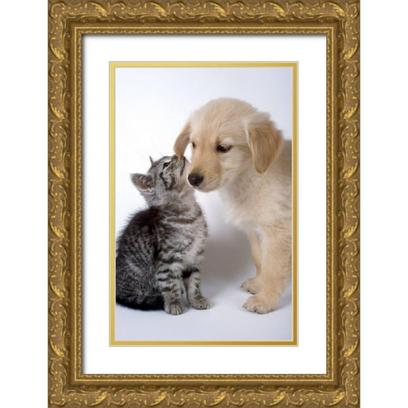 Hoenderkamp, Patrick 22x32 Gold Ornate Wood Framed with Double Matting Museum Art Print Titled - True love