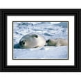 thumbnail image 1 of Hoenderkamp, Patrick 24x18 Black Ornate Wood Framed with Double Matting Museum Art Print Titled - Sealion, 1 of 4