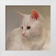 thumbnail image 1 of Hoeptner, Diane 26x26 White Modern Wood Framed Museum Art Print Titled - White Kitten, 1 of 4