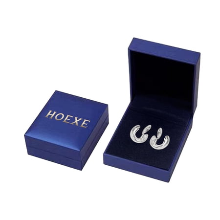 Hoexe Chiropractic Tinnitus Relief Earring, Ear Care To Relieve Ear Discomfort Tinnitus And Back Massage Earrings