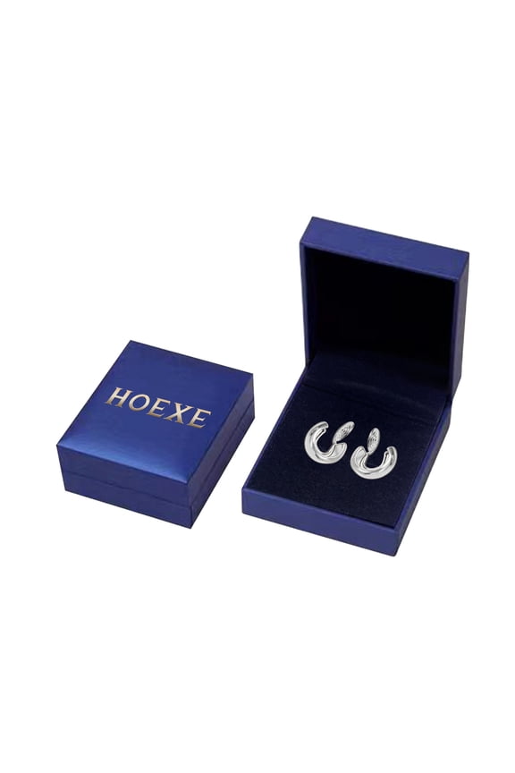 Chiropractic Tinnitus Relief Earring, Ear Care To Relieve Ear Discomfort Tinnitus And Back Massage Earrings