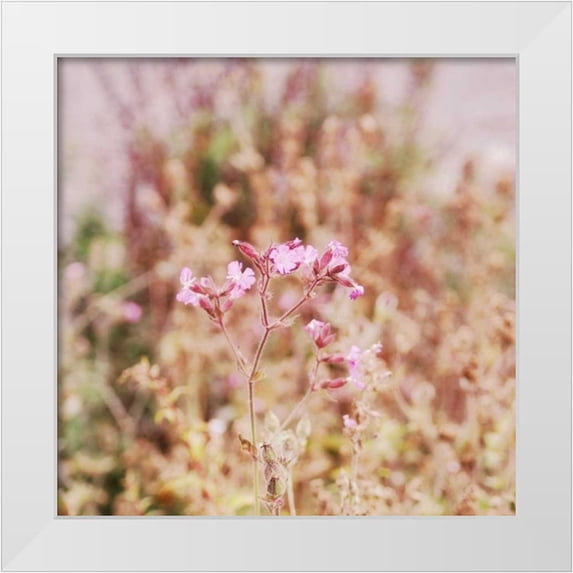 Hoey, Linda 26x26 White Modern Wood Framed Museum Art Print Titled - Garden Dreams 2