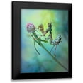 thumbnail image 1 of Hoffman, Jimmy 15x18 Black Modern Framed Museum Art Print Titled - Nymph, 1 of 5