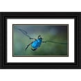 thumbnail image 1 of Hoffman, Jimmy 18x12 Black Ornate Wood Framed with Double Matting Museum Art Print Titled - The Acrobat, 1 of 4