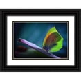 thumbnail image 1 of Hoffman, Jimmy 24x17 Black Ornate Wood Framed with Double Matting Museum Art Print Titled - La Cleopatra, 1 of 4