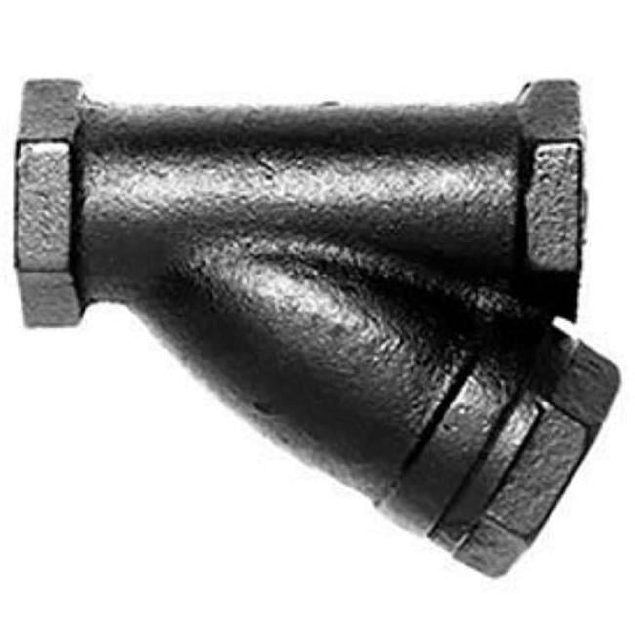 Hoffman Specialty 415C Y-Strainer 405009 - 1.25 in. NPT - Walmart.com