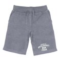 thumbnail image 1 of Hofstra University Property Shorts, Heather Grey - Medium, 1 of 1