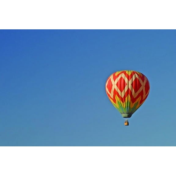 Hogan Balloon Wall Decal