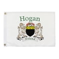 thumbnail image 1 of Hogan Irish Coat of Arms Small White Flag - 16"x10.5" inches, 1 of 1