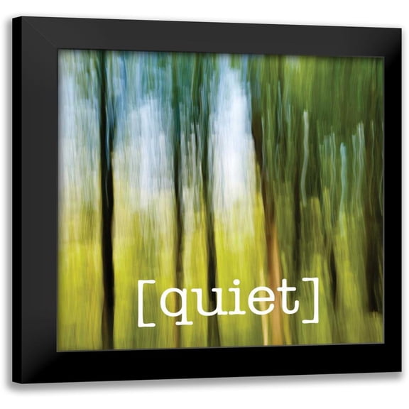 Hogan, Melody 12x12 Black Modern Framed Museum Art Print Titled - Calm Quiet Forest