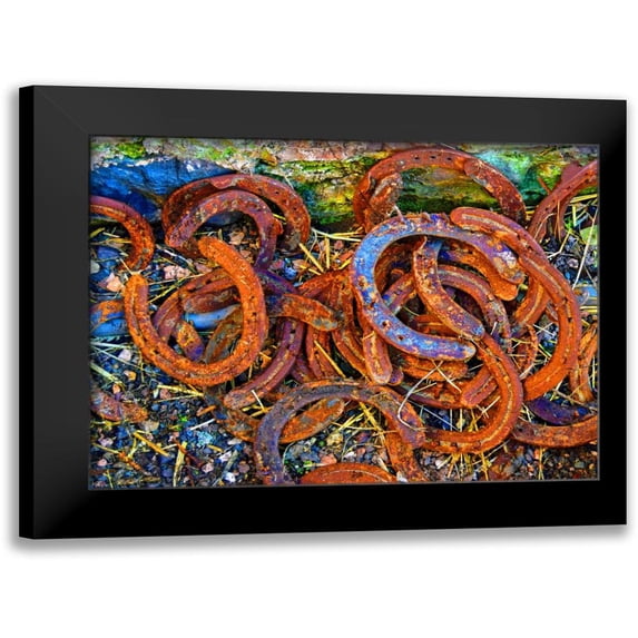 Hogan, Melody 24x19 Black Modern Framed Museum Art Print Titled - Bright Horse Shoes