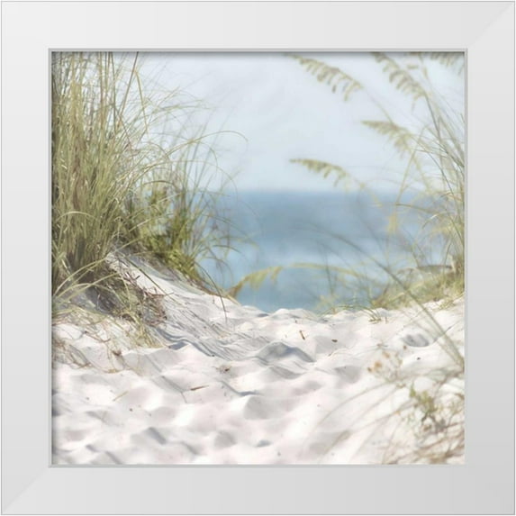 Hogan, Melody 26x26 White Modern Wood Framed Museum Art Print Titled - Over The Coastal Dune