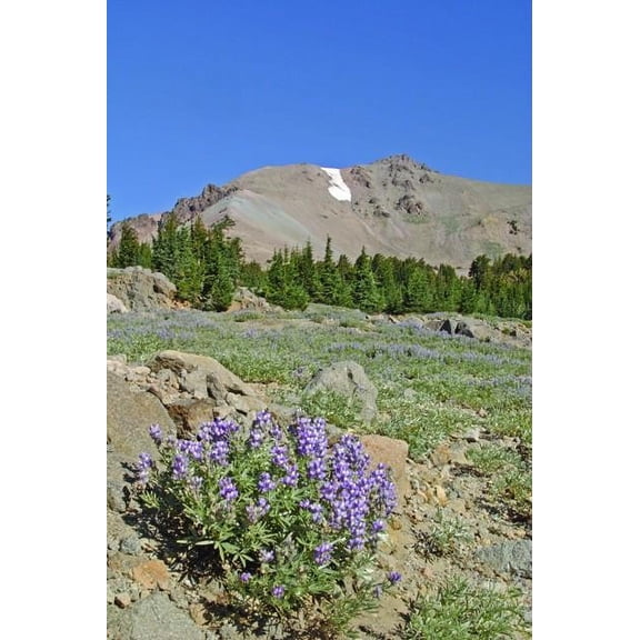 Hogan Mountain I Wall Decal
