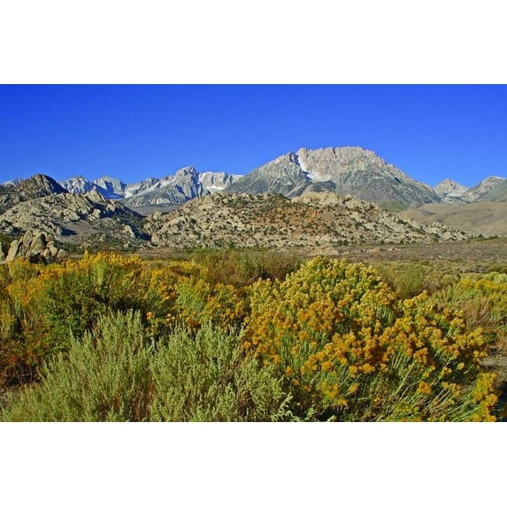 Hogan Mountain XI Glossy Poster