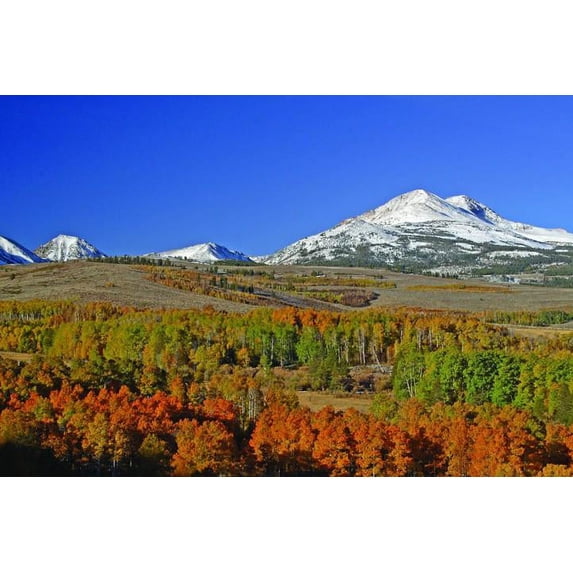Hogan Mountain XII Glossy Poster