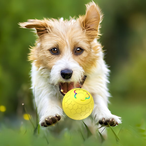 Hogarize Interactive Smart Dog Rolling Ball Toy - Automatic Teasing Ball for Dogs,Gravity Jump Motion,Rechargeable & Durable,Self-Entertainment Play