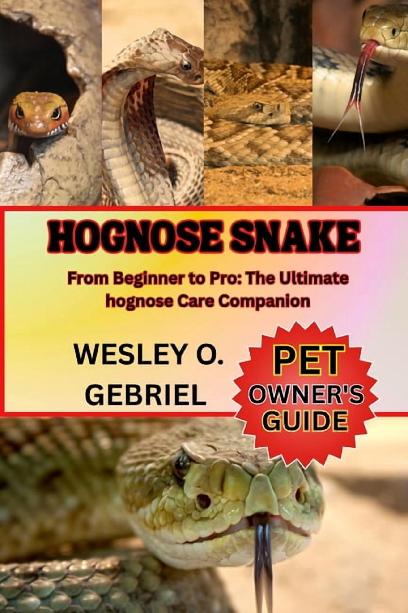 Hognose Snake: From Beginner to Pro: The Ultimate hognose Care Companion, (Paperback)