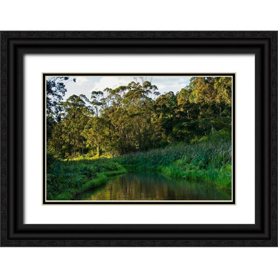 Hogstrom, Inger 14x11 Black Ornate Wood Framed with Double Matting Museum Art Print Titled - Madagascar-Andasibe-Vakona Lodge-Lemur Island Sunset over the canals that keep the lemurs