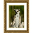 thumbnail image 1 of Hogstrom, Inger 23x32 Gold Ornate Wood Framed with Double Matting Museum Art Print Titled - Madagascar-Berenty-Berenty Reserve Ring-tailed lemur, 1 of 4