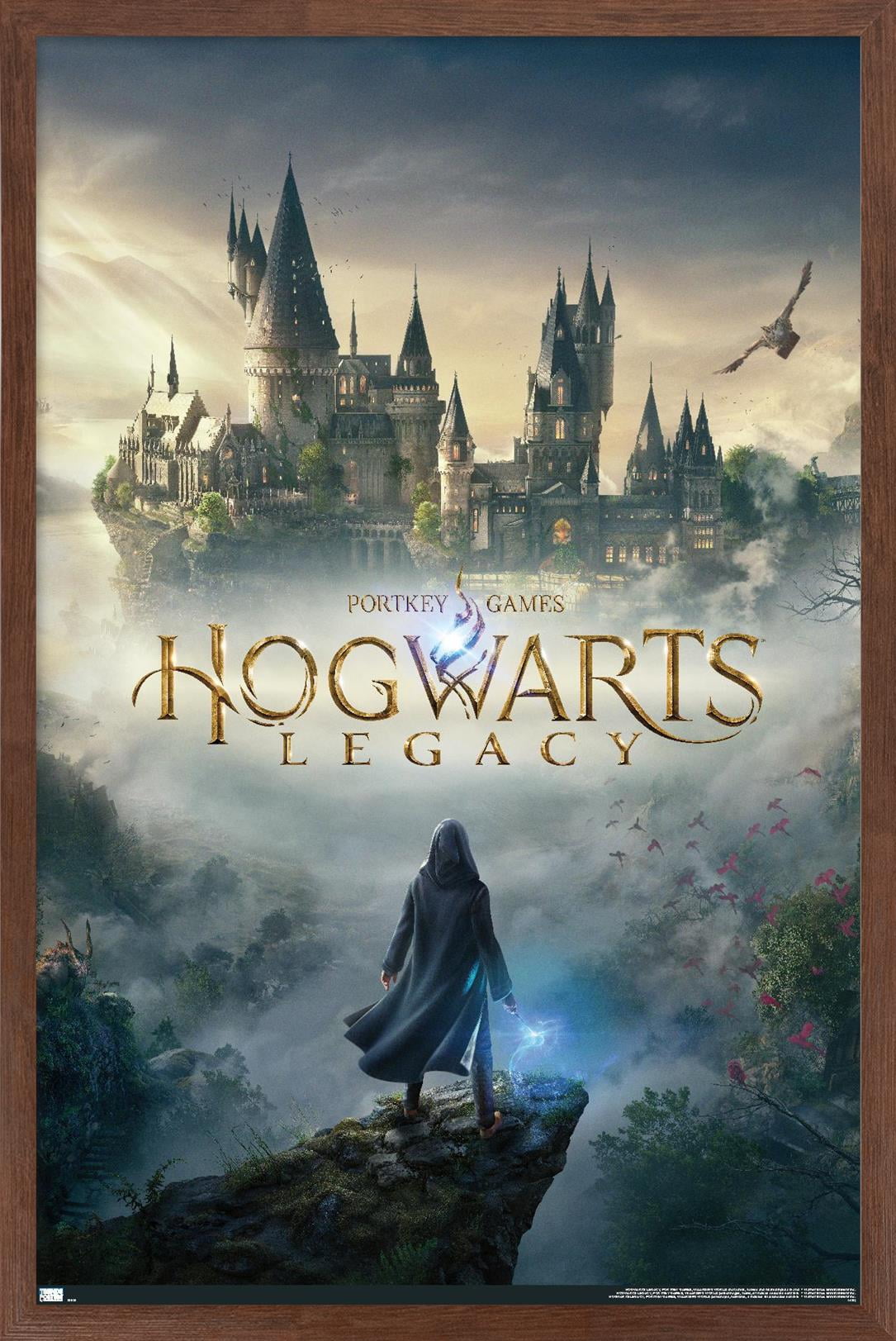 Hogwarts Legacy - Key Art Wall Poster, 22.375" x 34" Framed