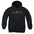 thumbnail image 1 of Hogwarts Legacy Logo Kids Pull-Over Hoodie (X-Large) for Youth Boys and Girls, Black, 1 of 5