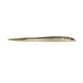thumbnail image 1 of Hogy Sand Eel Soft Plastic, 7", 3pk, Dark Sand Eel, 1 of 1