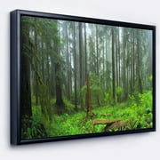 Hoh Rain Forest' Landscape Photography Framed Canvas Art Print