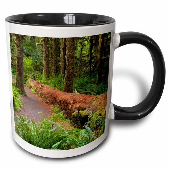 3drose, Hoh Rainforest, Olympic Np, Washington - Us48 Rkl0013 - Raymond Klass, 11oz Two-tone Black Mug