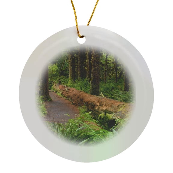 3drose, Hoh Rainforest, Olympic Np, Washington - Us48 Rkl0013 - Raymond Klass, Circle Porcelain Ornament
