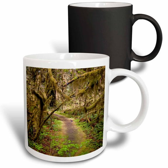 3drose, Hoh Rainforest, Olympic Peninsula, Washington - Us48 Mwr0008 - Micah Wright, 11oz Magic Transforming Mug