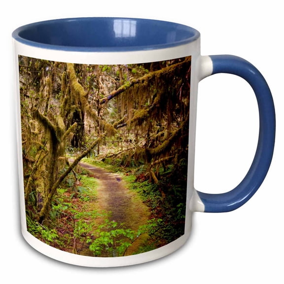 3drose, Hoh Rainforest, Olympic Peninsula, Washington - Us48 Mwr0008 - Micah Wright, 15oz Two-tone Blue Mug