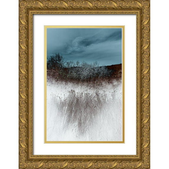 Hoh, Roy 23x32 Gold Ornate Wood Framed with Double Matting Museum Art Print Titled - Lentic Dream II