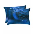 thumbnail image 1 of Hokiten Pillow Cases Queen Size Set of 2, Couch Pillow Covers, Blue Rose Satin Pillowcases with Zipper for Hair/Skin, Pillow Protector Cover, Elegance Fantasy Flowers Romantic 20x30 Inches, 1 of 6