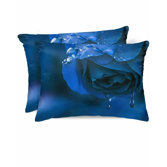 Hokiten Pillow Cases Queen Size Set of 2, Couch Pillow Covers, Blue Rose Satin Pillowcases with Zipper for Hair/Skin, Pillow Protector Cover, Elegance Fantasy Flowers Romantic 20x30 Inches