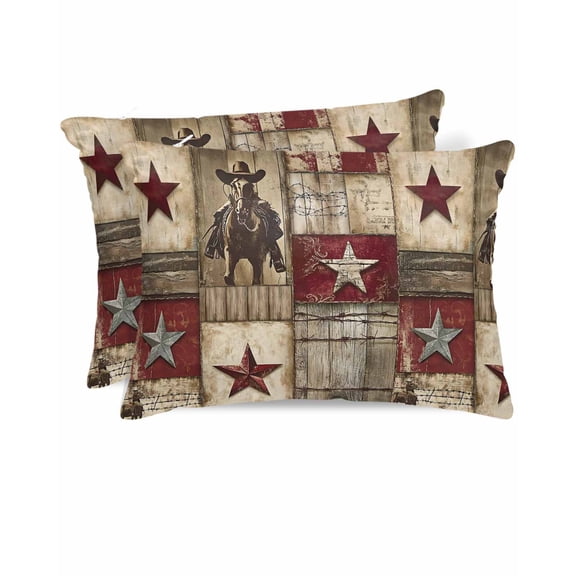 Hokiten Pillow Cases Queen Size Set of 2, Couch Pillow Covers, Texas Star Vintage Satin Pillowcases with Zipper for Hair/Skin, Pillow Protector Cover, Western Cowboy Country Wooden 20x30 Inches