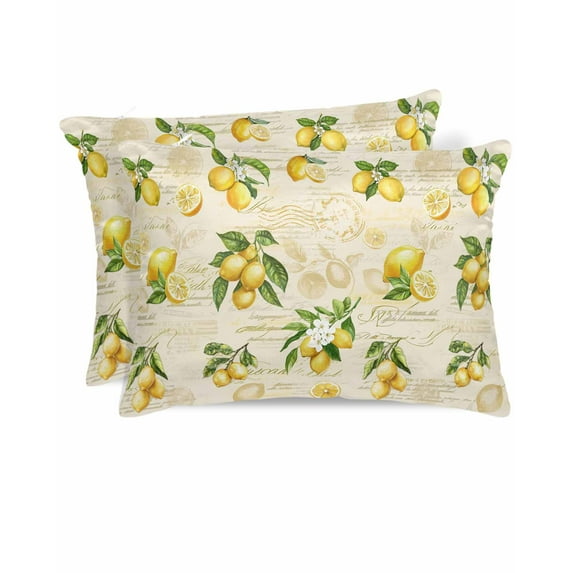 Hokiten Pillow Cases Queen Size Set of 2, Couch Pillow Covers, Yellow Lemons Satin Pillowcases with Zipper for Hair/Skin, Pillow Protector Cover, Summer Botanical Fruit Leaves Country 20x30 Inches