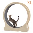thumbnail image 1 of Holaki Cat Exercise Wheel - Indoor Cat Treadmill with Carpeted Running Track, Safety Cat Treadmill with Latch, Weighted Wheel for Cats, Add Fun to Cat Exercise, Natural Wood Color(XL), 1 of 9