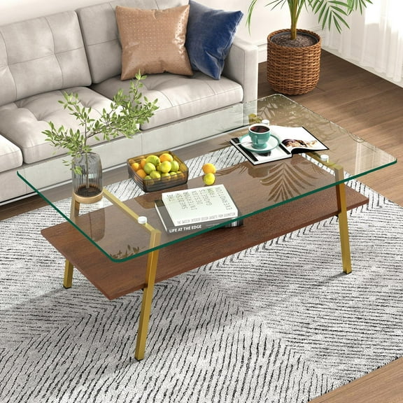 Holaki Glass Coffee Table, Rectangle Tempered Glass Table, 2-Tier Center Table with Clear Tempered Glass Top Metal Leg, Mordern Home Office Furniture