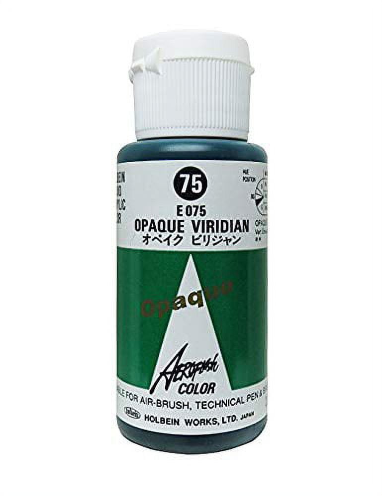 Holbein Aeroflash 35ml Airbrush Liquid Acrylic Paint Bottle for Airbrush  Nail Design, Artists, Hobbyists and more (Emerald Green, 1 Bottle) 