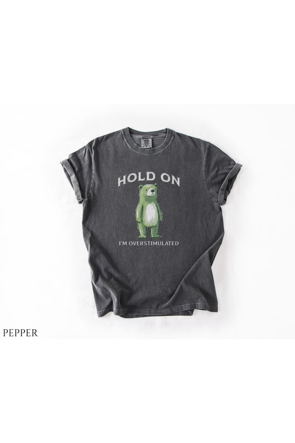 Hold On Im Overstimulated Shirt, 90s Y2K Retro Graphic Tee, Funny Silly Meme Tshirt, Unise