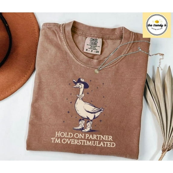 Hold On Partner Im Overstimulated Tee, Cowboy Duck Shirt Unhinged Tshirt, Cowboy Frog Shirt, Wierdcore Tshirt, Western Duck TH150527