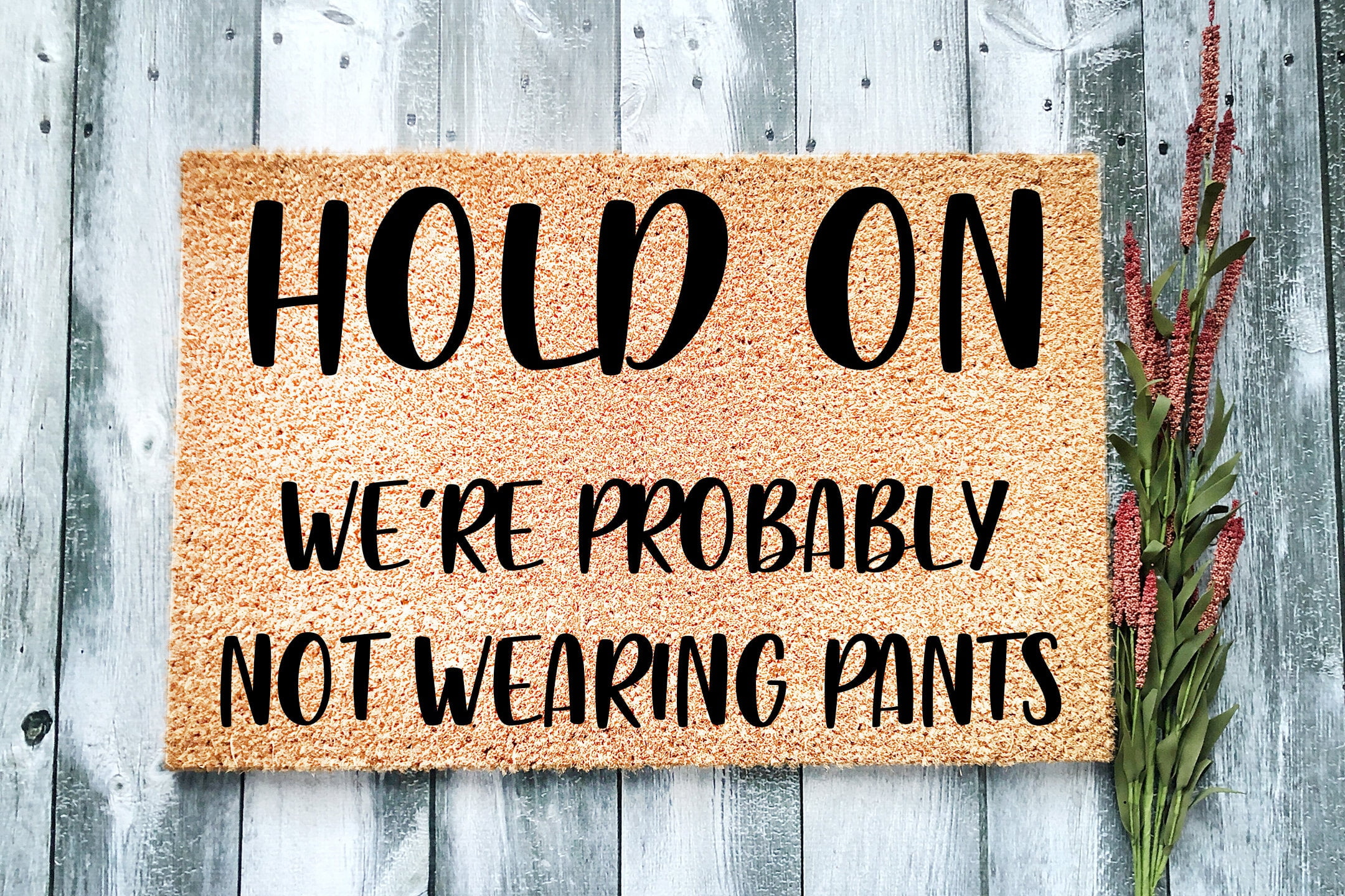 Probably Not Hold On We're probably not wearing pants | Funny Doormat | Welcome Mat ...
