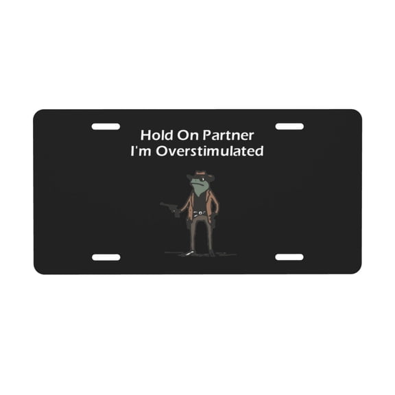 Hold On Partner I'm Overstimulated Cowboy Frog License Plate with 4 Holes,Novelty Aluminum Metal Car Plate Vanity Tag Decorative Car Front Accessories for Women Men,6x12 Inches