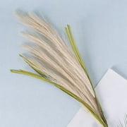 Holding Flowers And Featherless Puwei Grass Artificial Flower Decoration-Used For Floor Vase Filler Family Bohemian Decoration